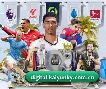 digital-kaiyunky.com.cn APP